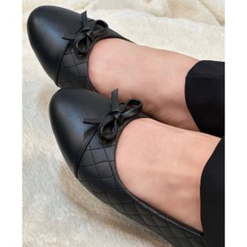 تصویر شنل پاپیون 