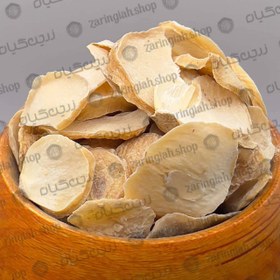 تصویر موسیر پلاک درشت 