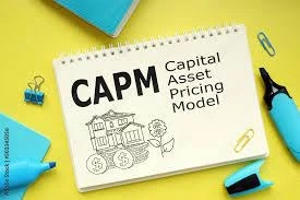 خرید و قیمت پاورپوینت مدل قیمت گذاری دارایی های سرمایه (CAPM) | ترب