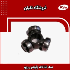 تصویر سه شاخه پلوس ریو 