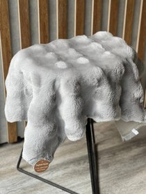 تصویر پادری پولیشی خز - طوسی 