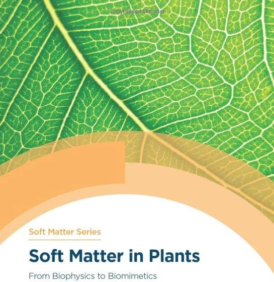 خرید و قیمت دانلود کتاب Soft Matter in Plants: From Biophysics to ...