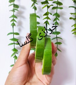 تصویر نوار گاترین سبز 