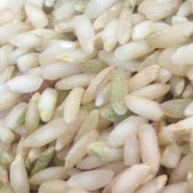 تصویر برنج سبوس‌دار عنبر ( عمده ) ا Anbar boo rice Anbar boo rice