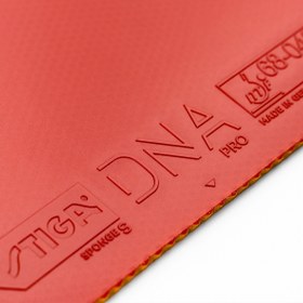 تصویر رویه DNA Pro S استیگا 