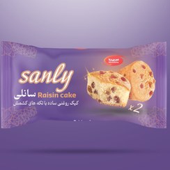 تصویر کیک دوقلو کشمشی سانلی شیرین برنا ۳۶ عددی ۱۱۰ گرمی Twin raisin cake 110 Gr