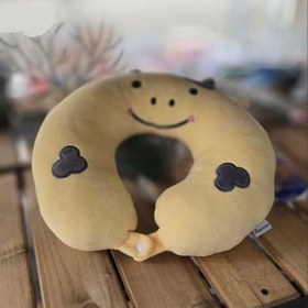 تصویر بالشت گردنی پولیشی 