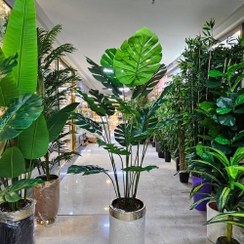 تصویر درختچه برگ انجیری مصنوعی 