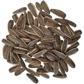 تصویر تخمه آفتابگردان طعم پنیری 