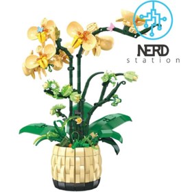 تصویر گلدان ارکیده 