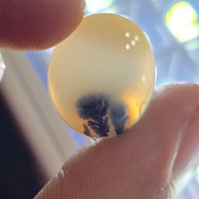 تصویر نگین عقیق شجر زنده 