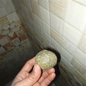 تصویر گوهر شب چراغ ،شب نما 