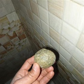 تصویر گوهر شب چراغ ،شب نما 