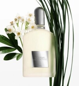 تصویر تام فورد گری وتیور Grey Vetiver 