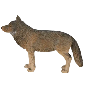 تصویر فروشگاه اسباب بازی ژوبین