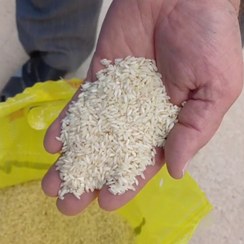 تصویر برنج عنبربو عمده خوزستان (کیسه 10 کیلوگرمی) 