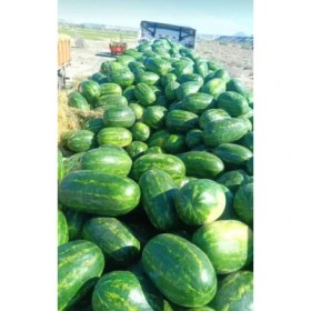 تصویر هندوانه بیضی 