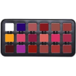 تصویر پالت رژ لب کاراکتر مدل C-A401 