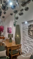 تصویر آباژور کنارسالنی 