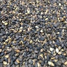 تصویر کنجد بوداده بی نمک 250گرم 