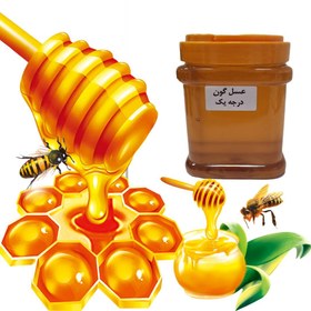 تصویر عسل گون اشتران کوه Oshtorankoh_ honey