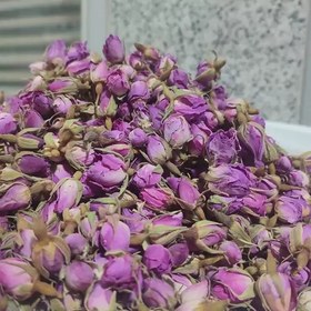 تصویر غنچه گل محمدی اعلا 