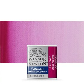 تصویر وینزور آبرنگ قرصی 544 