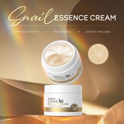 تصویر کرم لیفت و رطوبت رسان حلزون کره ای لایکو – 25g LAIKOU Korea Snail Essence Cream