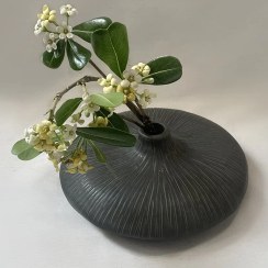 تصویر گلدان ایناری 