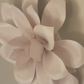 تصویر گل کوکب مقوایی مگنت دار 