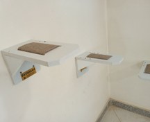 تصویر پله گربه مدل دیواری 