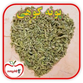 تصویر پونه کوهی اعلا – 500گرم 