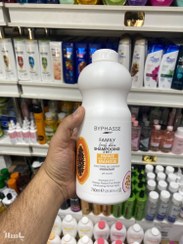 تصویر شامپو خانواده 2 در 1 MANGUE بایفاس مناسب انواع مو BYPHASSE® Family Fresh Délice Shampoo All Hair Types, 750m