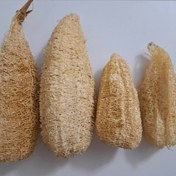 تصویر لیف طبیعی لوفا 