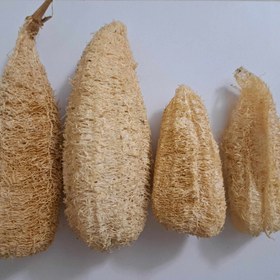 تصویر لیف طبیعی لوفا 