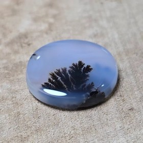 تصویر شجر قائن 