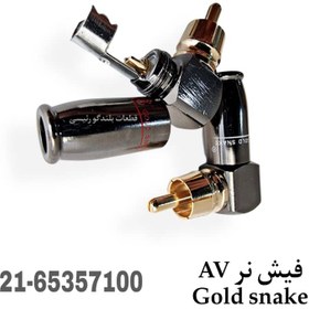 تصویر فیش نر AV Gold Snake (جفت) 