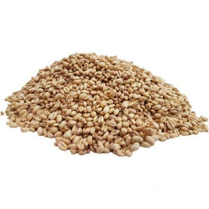 تصویر فروشگاه خشکبار ماهتیسا