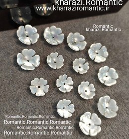 تصویر صدف اصل گل کاسه ای 