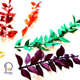 تصویر گل خشک برگ های رنگی 