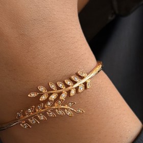 تصویر بنگل برگ Bangl