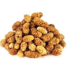 تصویر توت خشک - 500گرم 