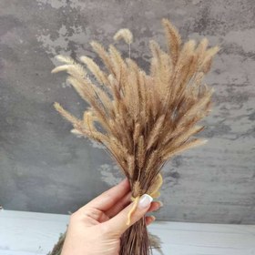 تصویر گل خشک ارزن رنگ طبیعی