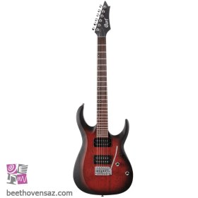 تصویر گیتار الکتریک مدل CORT X100-OPBB 