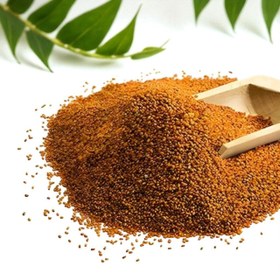 تصویر خاکشیر 