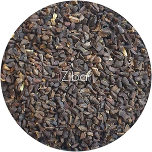 تصویر فروشگاه زیبار