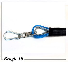 تصویر بند / لید / لیش قلاده سگ مدل : بیگل 10 Dog lead/leash model: Beagle 10