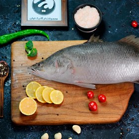 تصویر ماهی سیباس کامل 