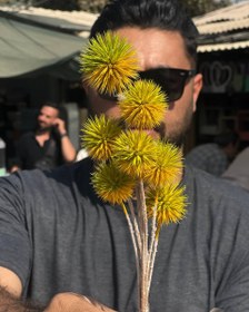 تصویر گل خشک طبیعی اچینو 