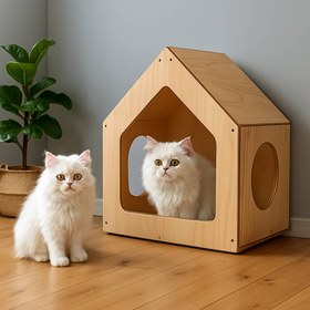 تصویر خانه گربه 